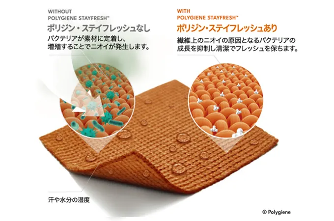 ダイニング5点セット ダイニング5点セット